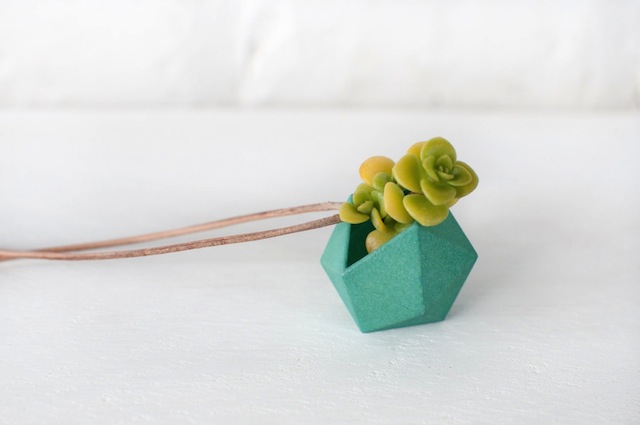 Wearable Planter by Colleen Jordan