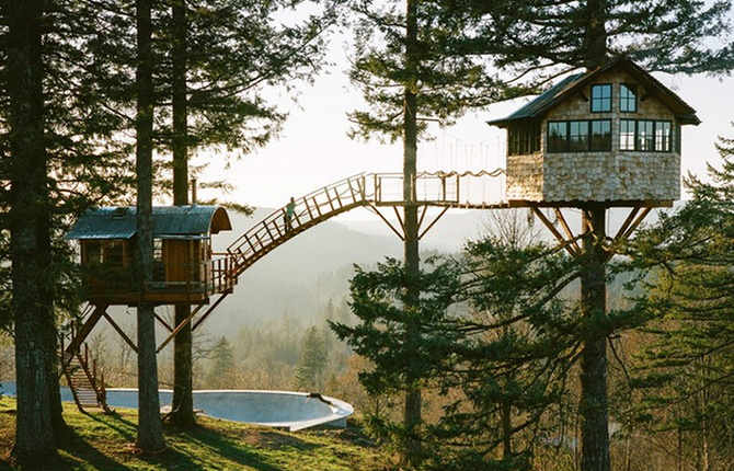 Treehouse and Skate Bowl in the Woods