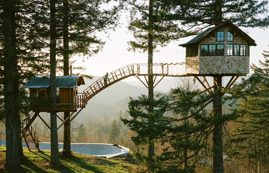 Treehouse and Skate Bowl in the Woods