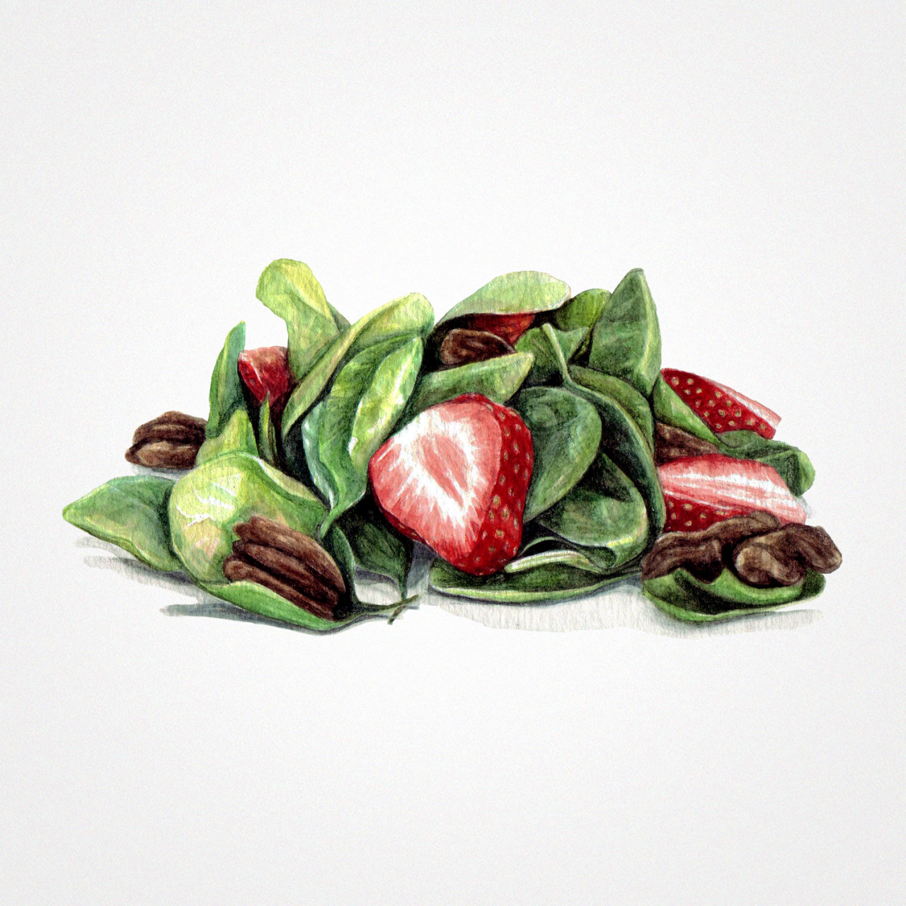 foodillustrations-2