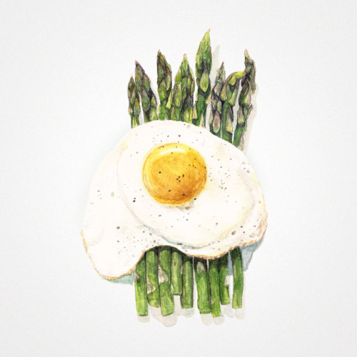 foodillustrations-9