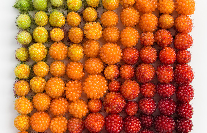 Objects and Food Ordered by Colors