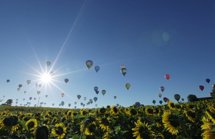 French Landscapes and Cityscapes Timelapse