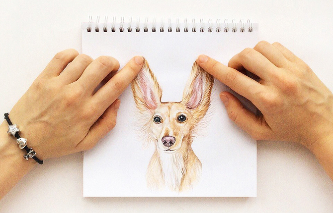 Interactive Dog Illustrations