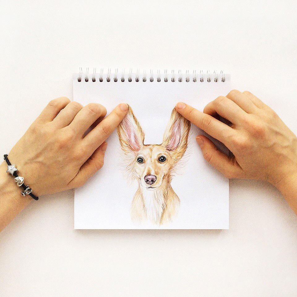 interactivedogillustrations1