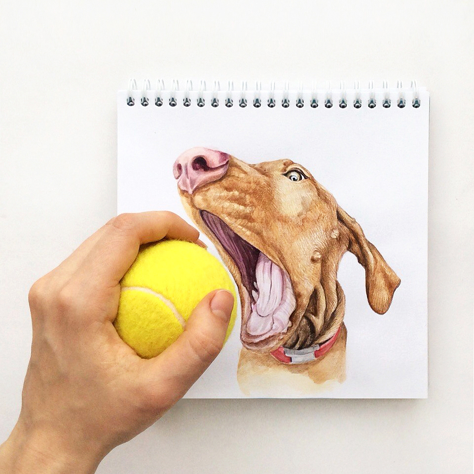 interactivedogillustrations10