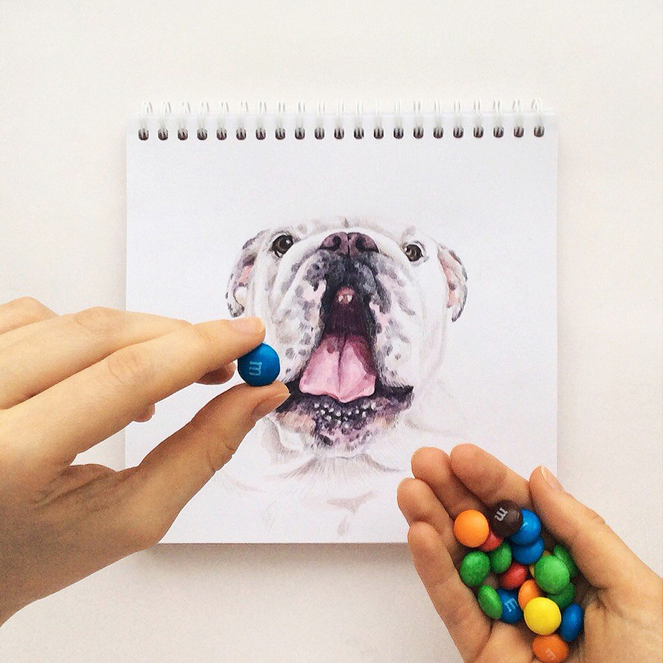 interactivedogillustrations9