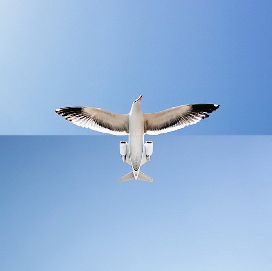 juxtapositionphoto4