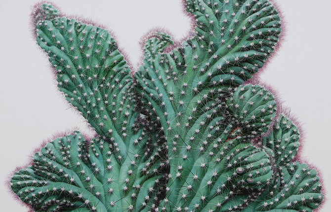 Hyperrealistic Paintings of Cacti