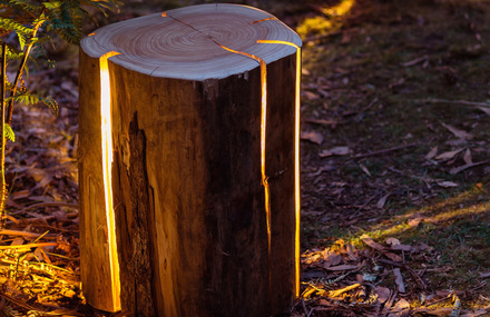 Cracked Log Lamps