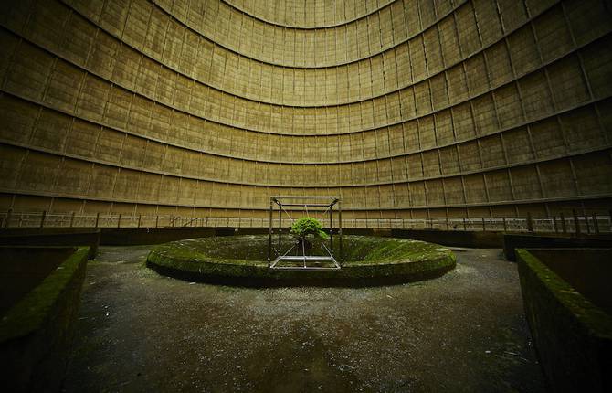 A Suspended Bonsai Inside an Abandoned Power Plant