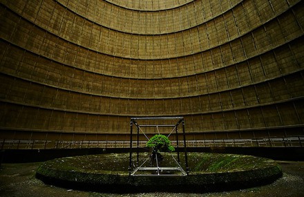 A Suspended Bonsai Inside an Abandoned Power Plant