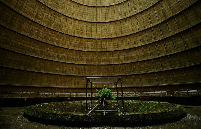 A Suspended Bonsai Inside an Abandoned Power Plant
