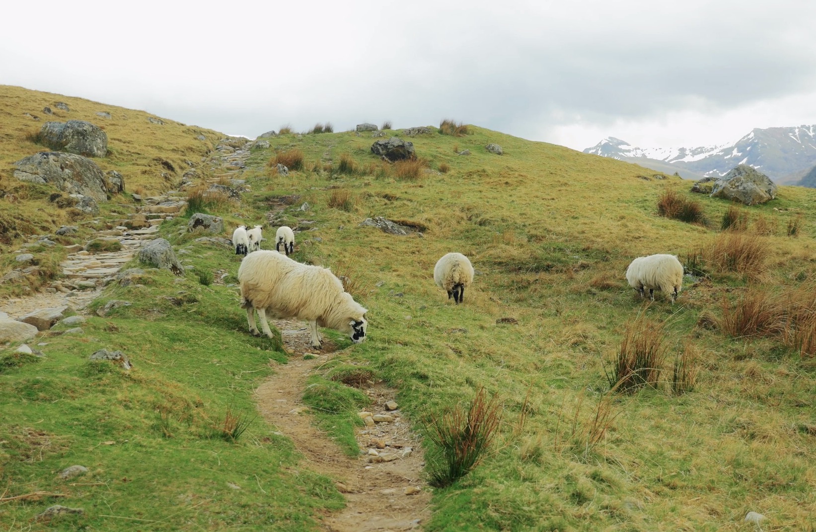 scottishhighlands3