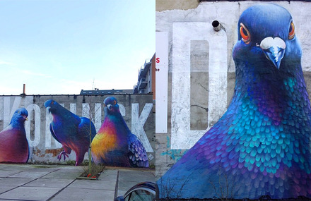 Giant Pigeons Murals Street Art