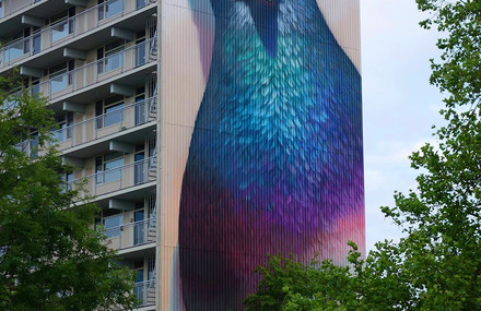 Giant Pigeons Murals Street Art