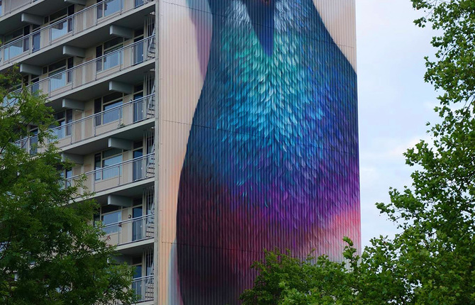 Giant Pigeons Murals Street Art