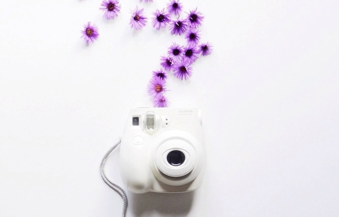 Beautiful and Delicate Photography by This Little Lion