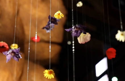 Feed your Eyes – Expo Milan 2015
