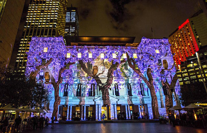 Flowers and Trees Light Projection in Sydney