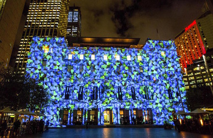 Flowers and Trees Light Projection in Sydney