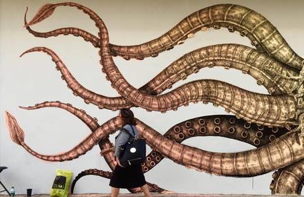 Alexis Diaz Wildlife Murals