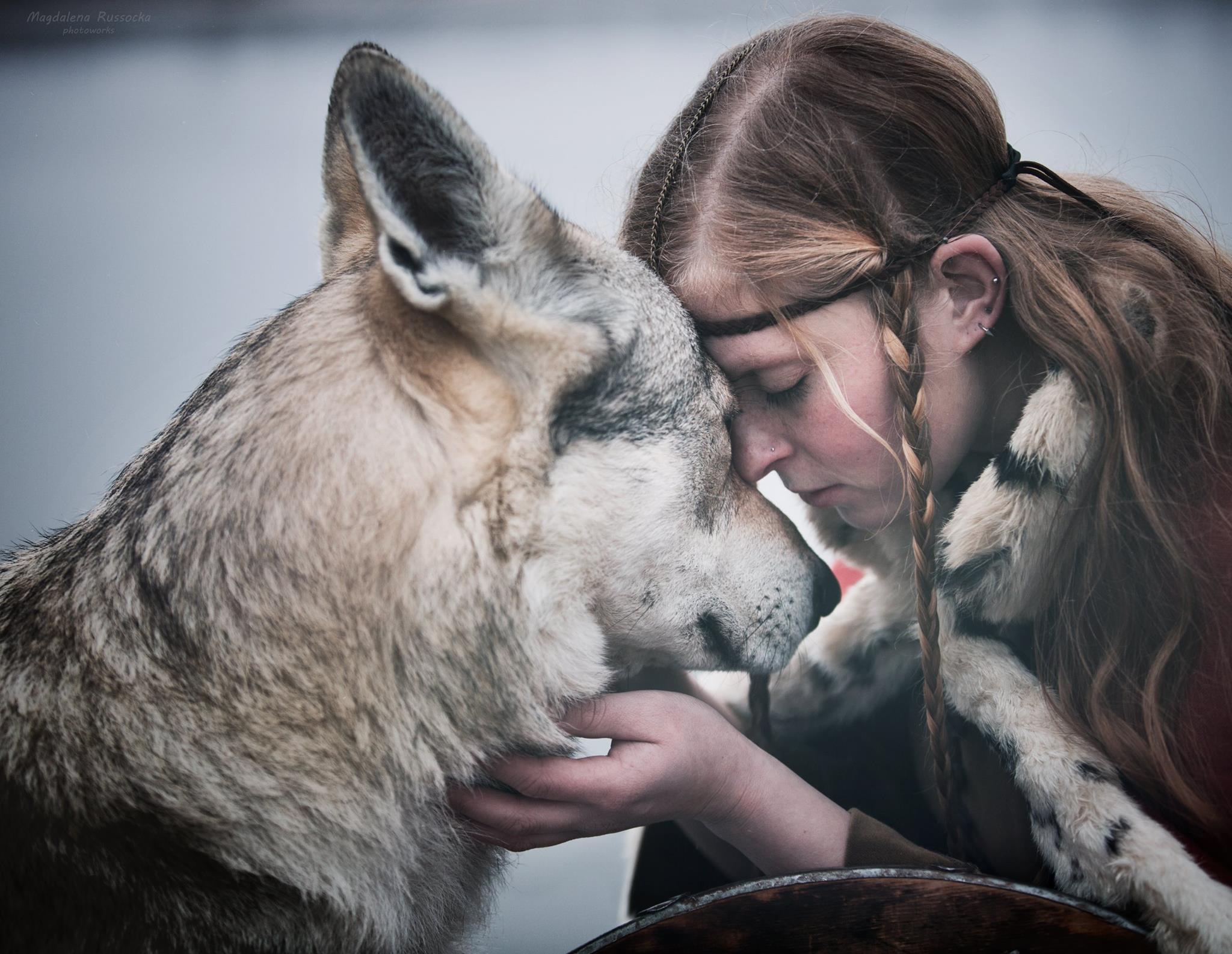 Женщина подобрала волка. Девушка с волком. Волк обнимает девушку. Обнимает волка. Девушка обнимается с волком.