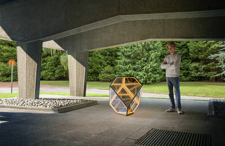 Interactive Polyhedron Installation