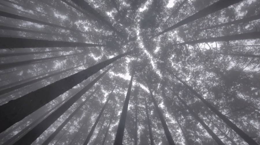Kumano Video6