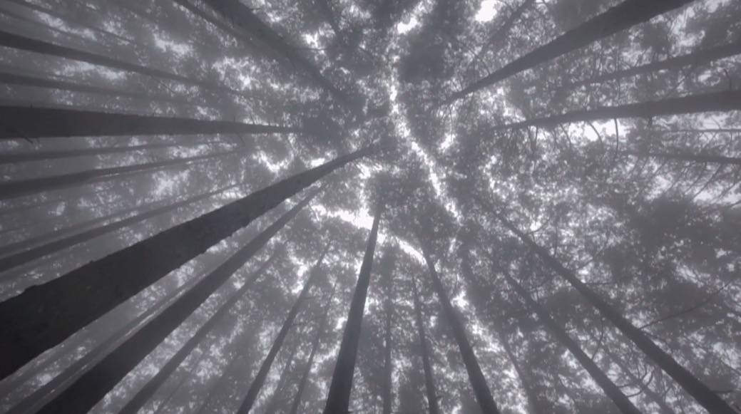 Kumano Video6