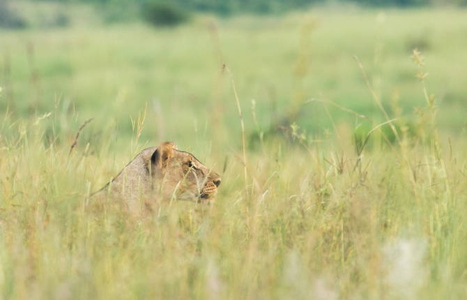 African Trip Photography