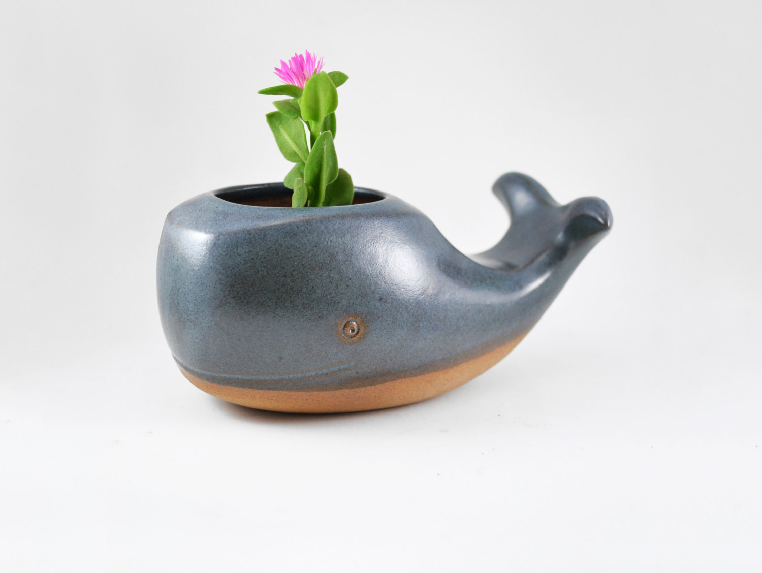 animalplanters2