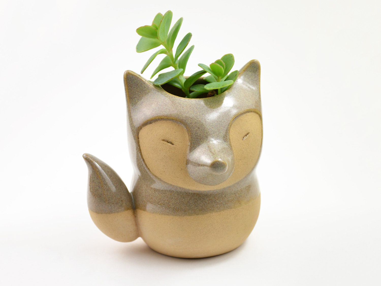 animalplanters3