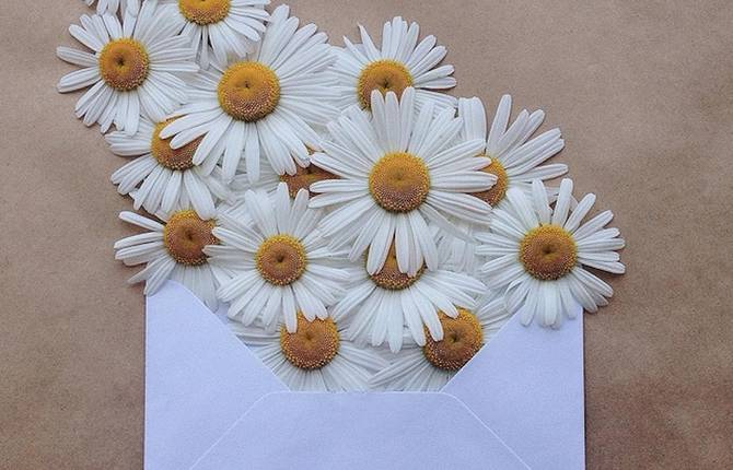 Flowers Bouquets in Vintage Envelopes