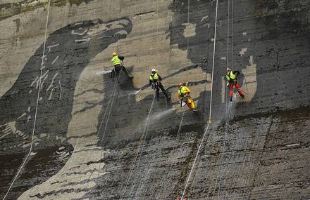 Huge Eco Murals in Poland