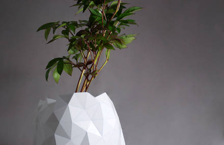 Shape-Shifting Origami Pot Growing with Plant