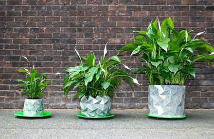 Shape-Shifting Origami Pot Growing with Plant