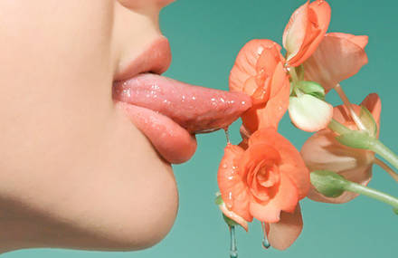 Odd Portraits by Petrina Hicks