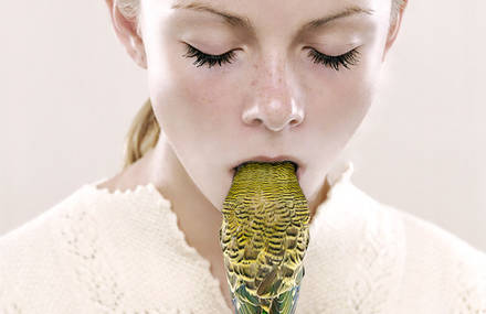 Odd Portraits by Petrina Hicks