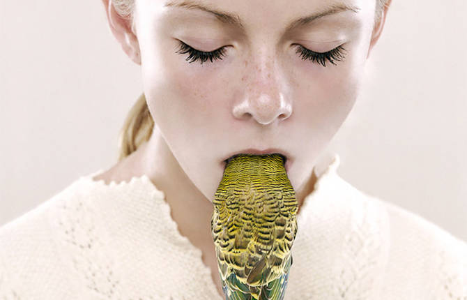 Odd Portraits by Petrina Hicks