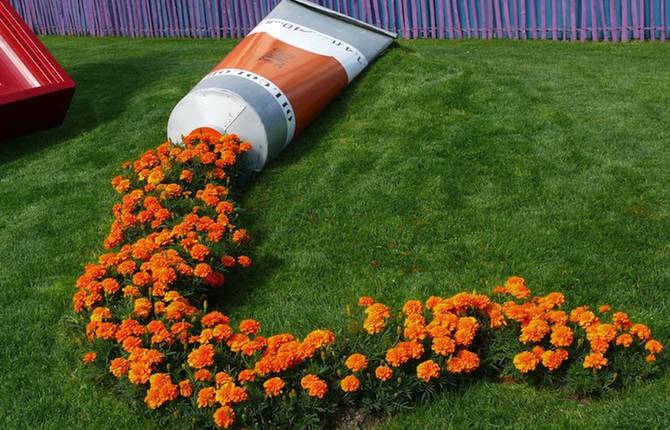 Marigold Paint Tube Installation