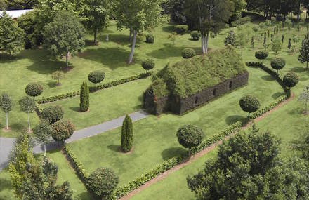 Tree Church in New-Zealand