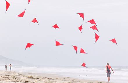 20 Minutes of Kite Flying Time Collapse