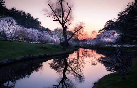 Japan Immersion Photography