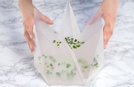 Origami Microgarden Kit