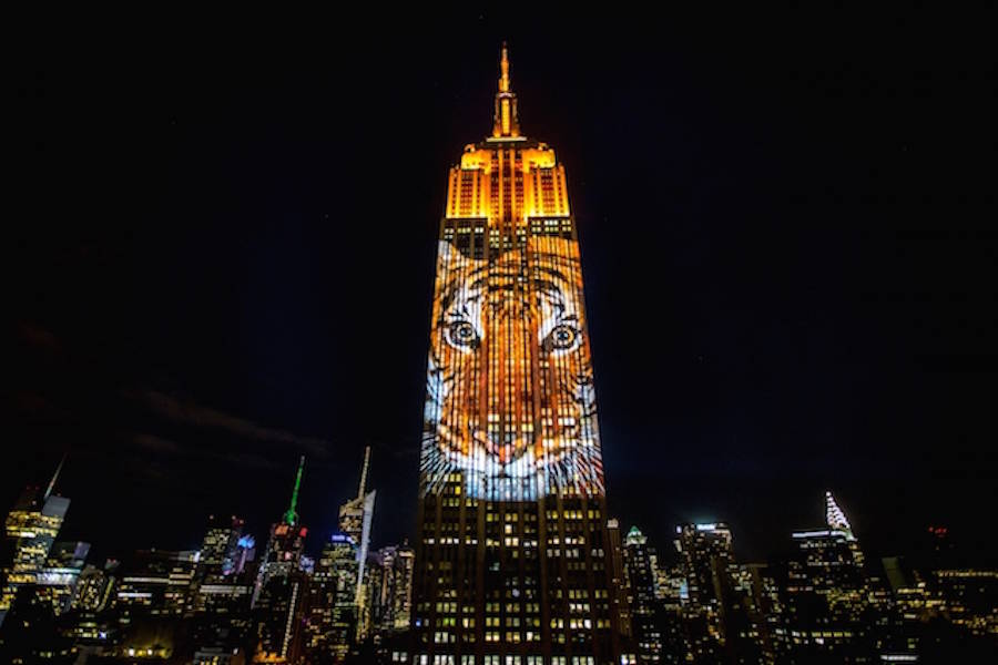 Projecting-Change-Empire-State-Building-1