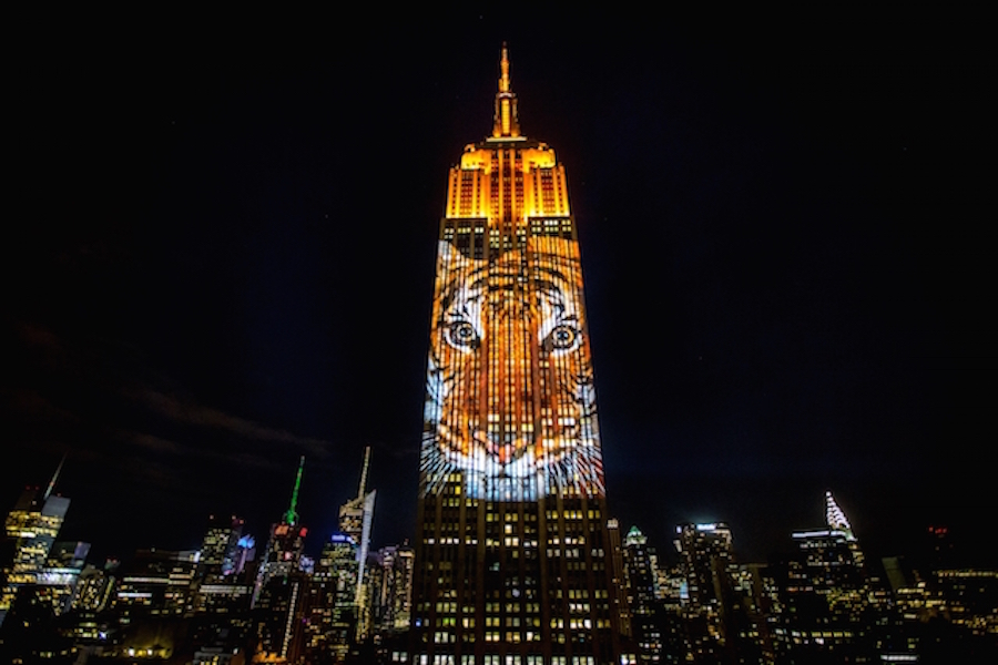 Projecting-Change-Empire-State-Building-1