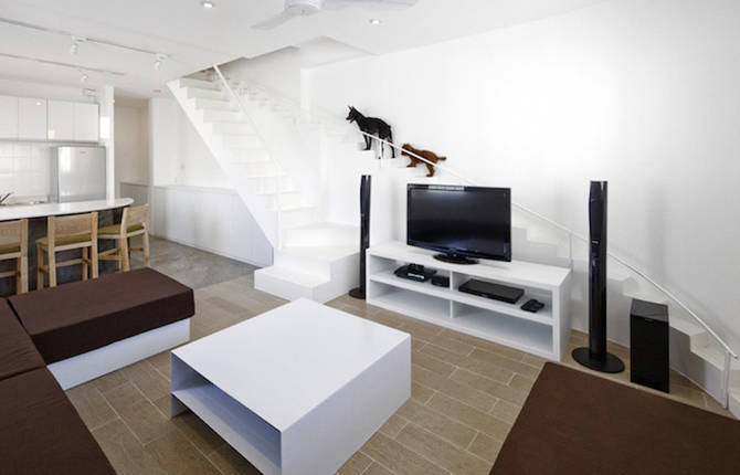 Staircase Designed for Small Pets