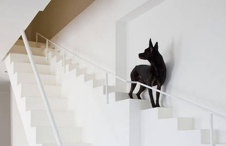 Staircase Designed for Small Pets