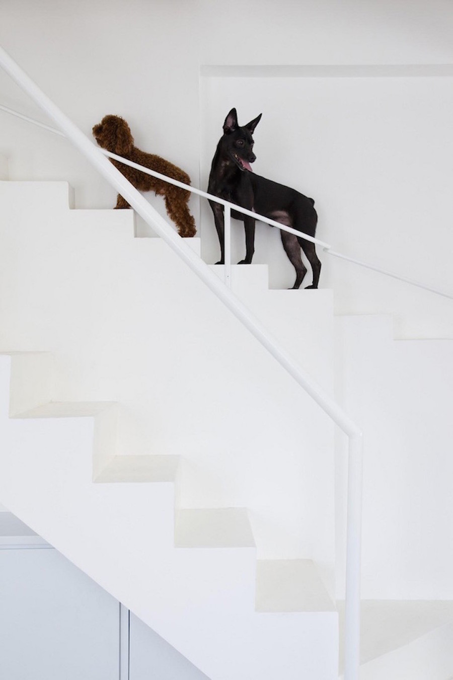 Staircase Designed for Small Pets4
